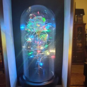 Rose Light - Glass Encased LED Light-Up Rose